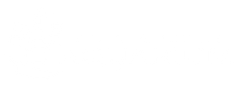 St. Augustine Aquarium