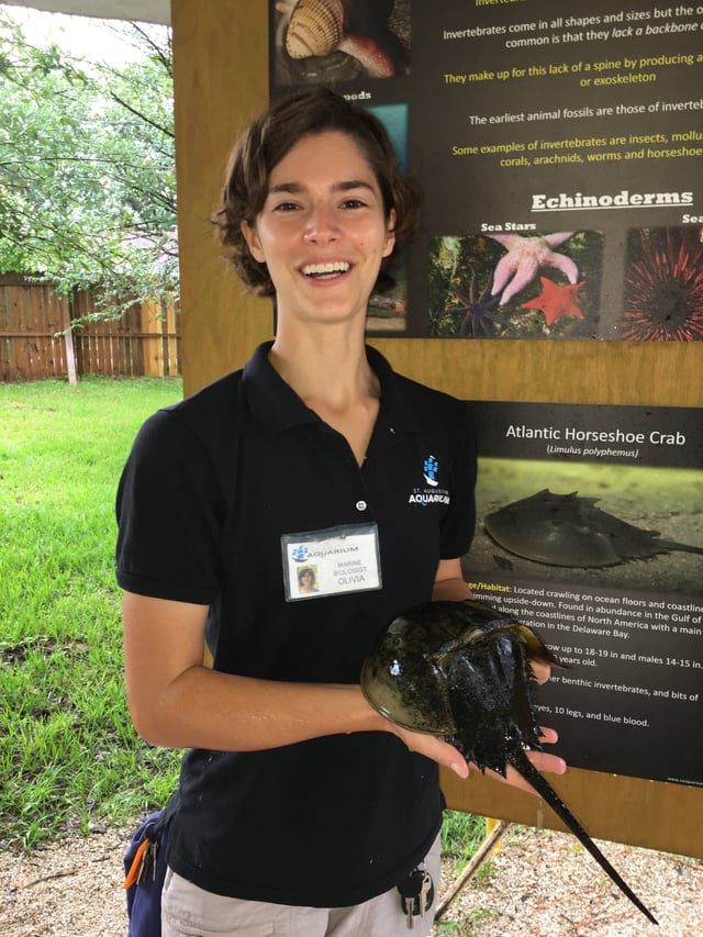 Young visitor exploring a hands-on marine habitat